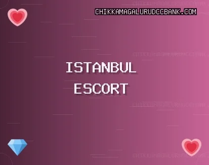 İstanbul Escort: Pendik Escort, Şişli Escort, Beyoğlu Escort